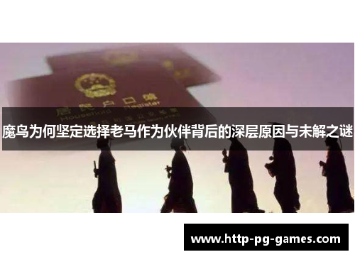 魔鸟为何坚定选择老马作为伙伴背后的深层原因与未解之谜 魔鸟为何坚定选择老马作为伙伴背后的深层原因与未解之谜