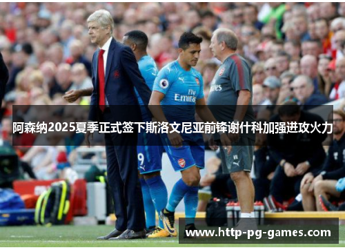 阿森纳2025夏季正式签下斯洛文尼亚前锋谢什科加强进攻火力